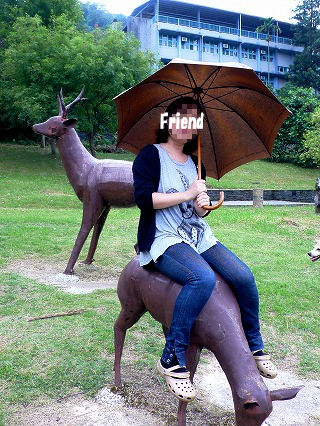 ̵Íý¤ä¤ê¥Ý¡¼¥º