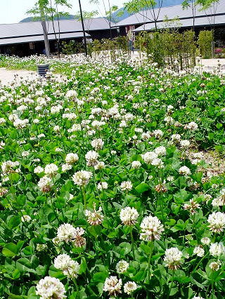 2010年5月 熊野倶楽部