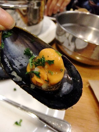 シドニー二日目 ランチ→マンリー→オージービーフ!