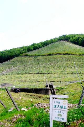 足利 COCO FARM