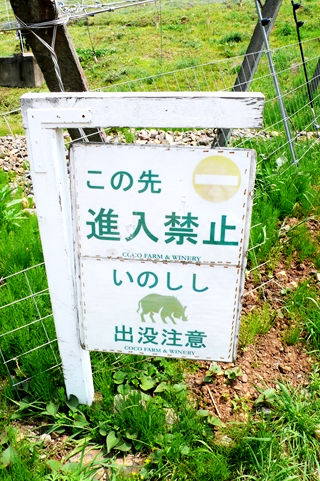 足利 COCO FARM