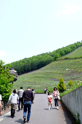 足利 COCO FARM
