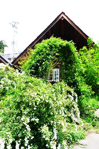 足利 COCO FARM