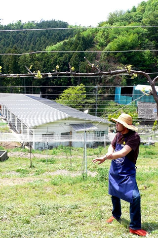 足利 COCO FARM