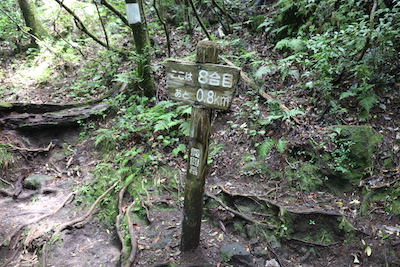 IMG_8745.JPG