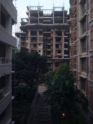 R1049629.JPG