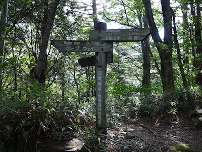 R1050437.JPG