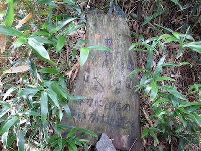 R1050453.JPG