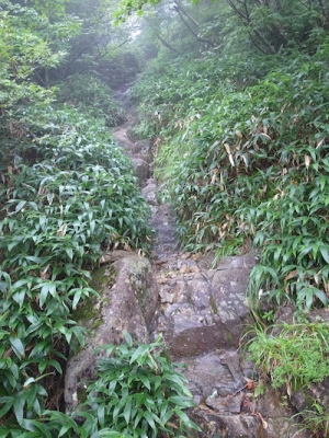 R1050471.JPG