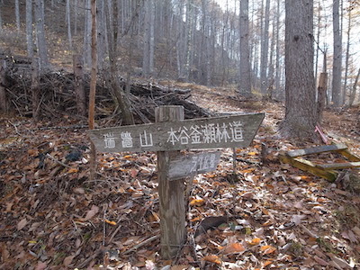 R1050641.JPG