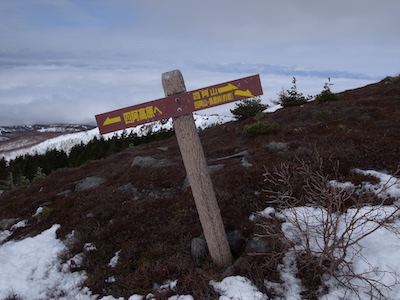 R1051180.JPG
