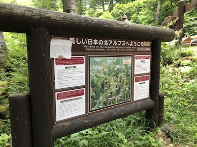 IMG_3172.jpg
