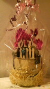 2013011720090001.jpg