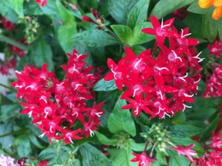 IMG_6574.JPG