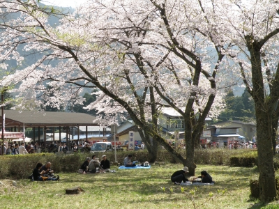 neotani6