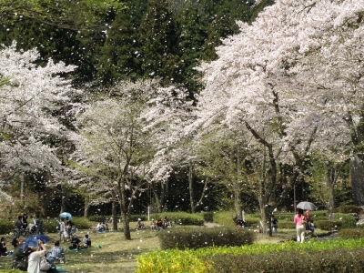 neotani8