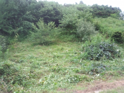 kusakarigo1
