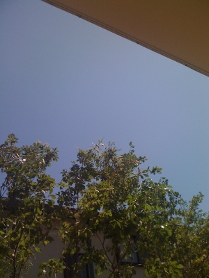 iPHONE写真データ 032.jpg