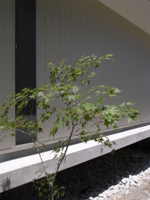 R0021036.JPG