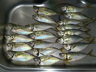 20120927114221.jpg