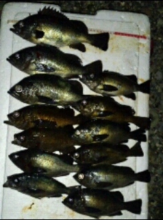 20120927053641.jpg