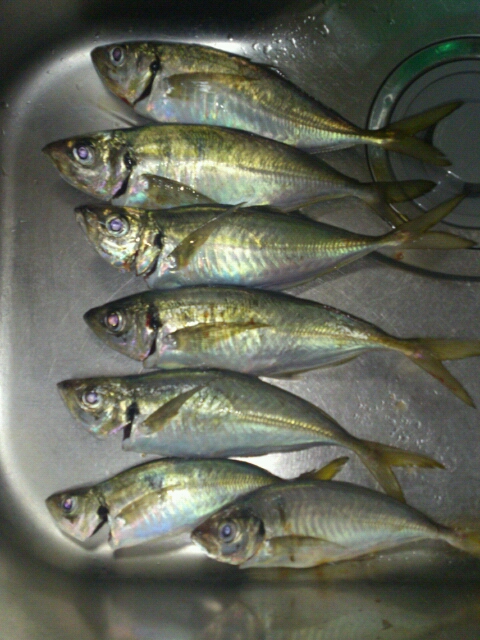 20140804120932.jpg