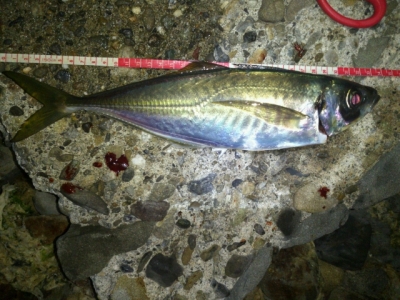 20140807122826.jpg