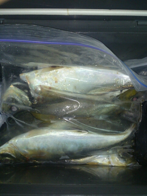 20141001012856.jpg