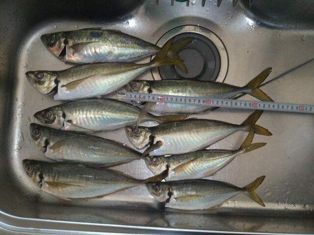 20141024032053.jpg