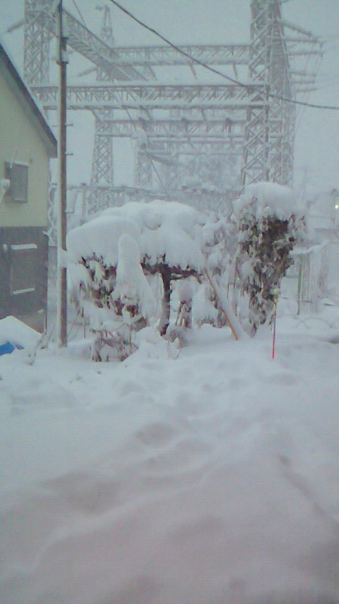 お疲れっす べっぶろ