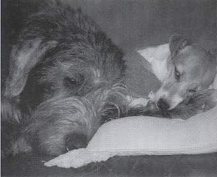 JRT4