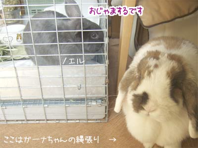 20071201_1.jpg