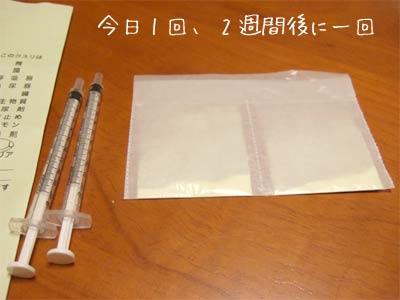 20080411_2.jpg