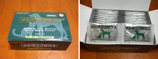 20090128_4.jpg