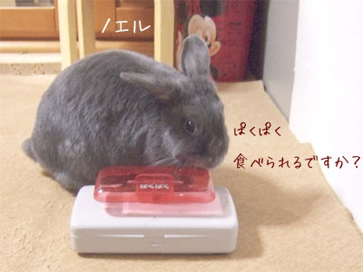 20090628_1.jpg
