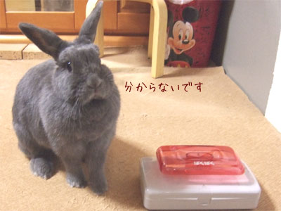 20090628_3.jpg