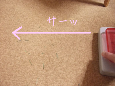 20090628_4.jpg
