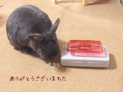 20090628_6.jpg
