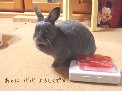 20090628_7.jpg