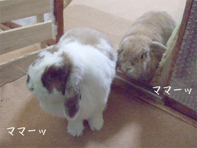 20090927_3.jpg