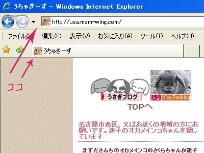 20100302favicon.jpg