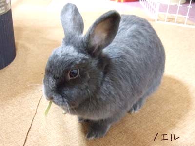 20100314_3.jpg