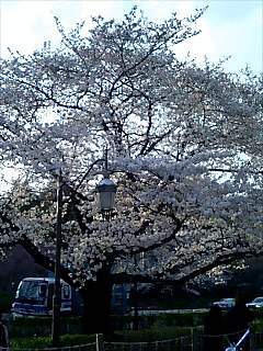 20060401_2914.jpg