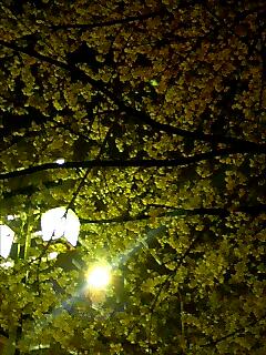 20060405_10224.jpg