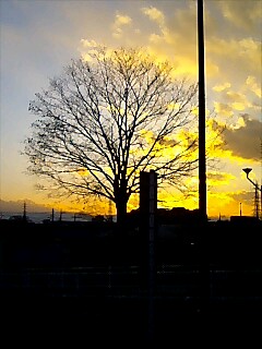 20070108_211662.jpg
