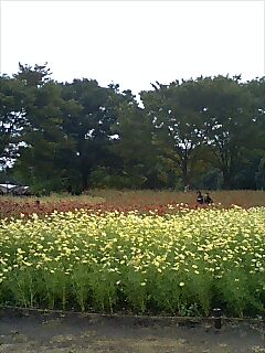 071030_1448~0002.jpg