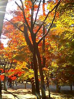 081122_1359~0001.jpg