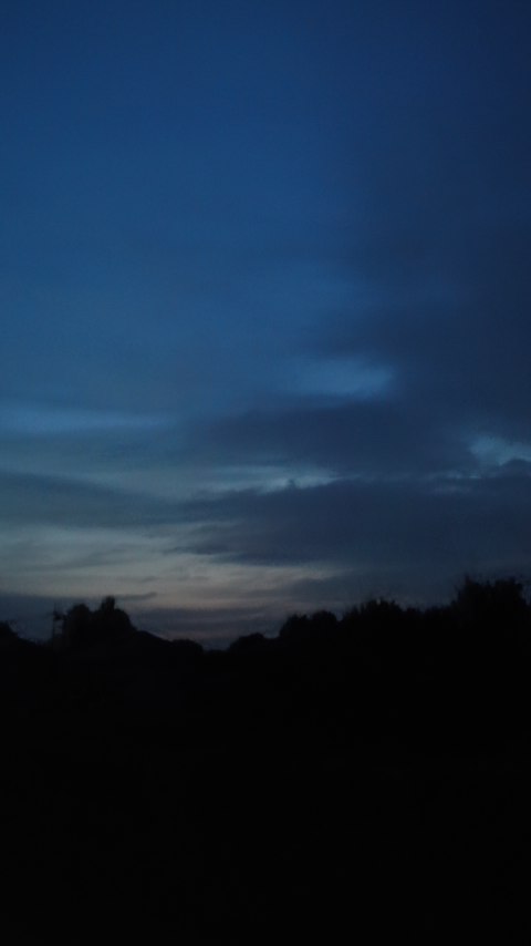 111110_0543~01.jpg