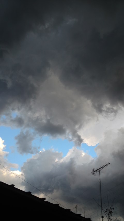 111120_1609~02.jpg