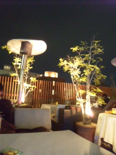DVC00180.jpg